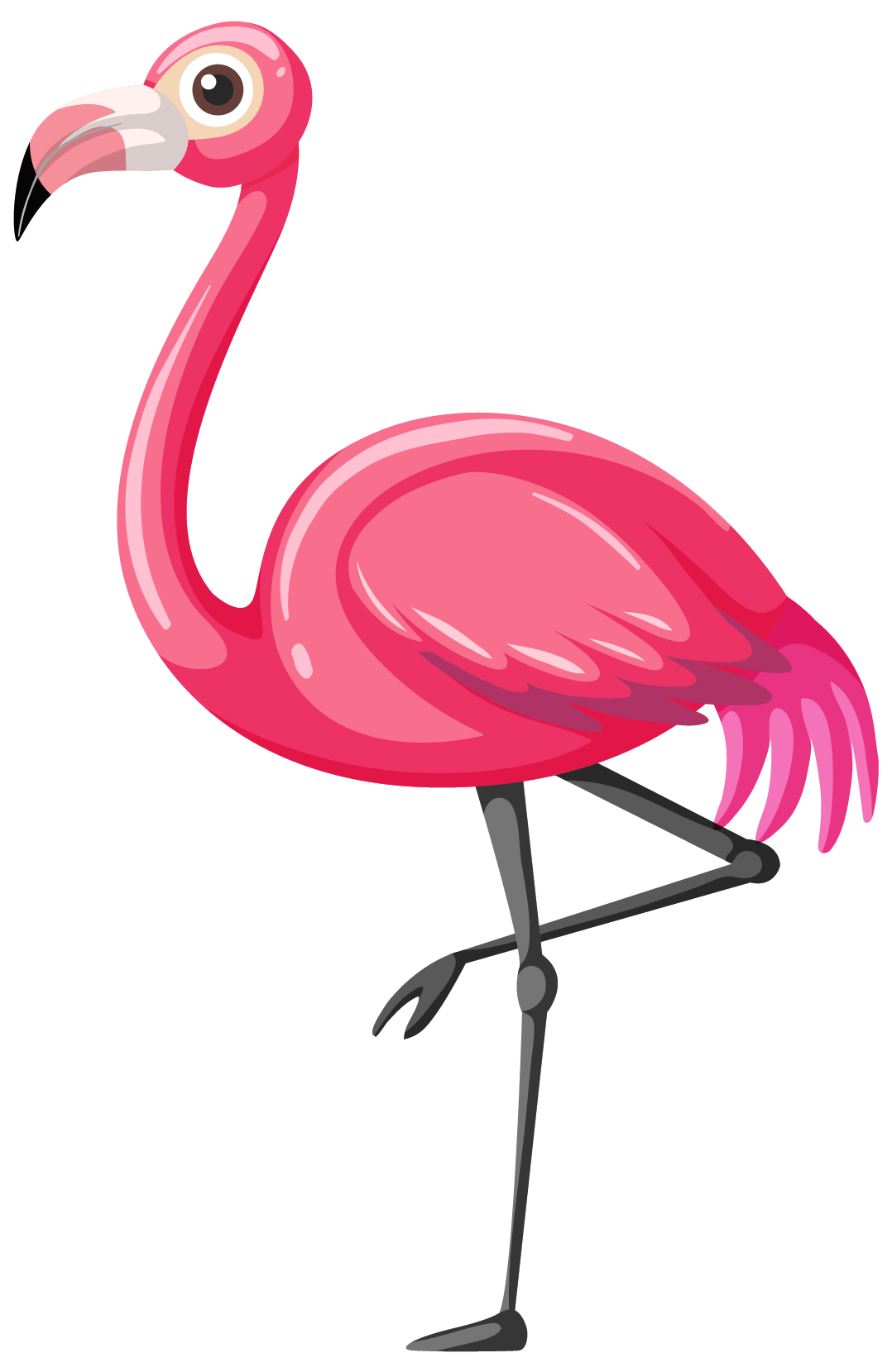 Flamingos